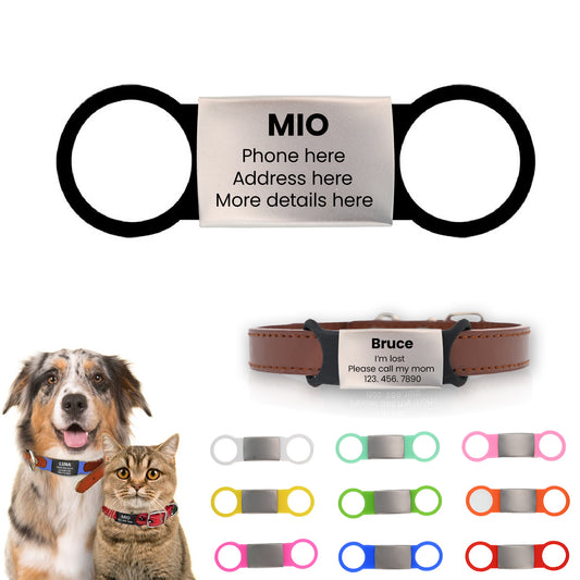 Personalized Slide-On Silicone & Metal Pet ID Tag (Silver)