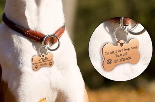 Stainless Steel Personalized Dog Pet tags Double Side Engraved ID Dog Cat Tag