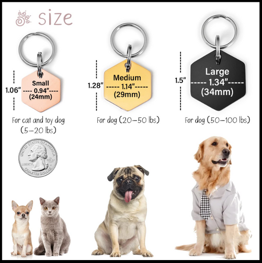 Engraved Pet ID Tag Stainless Steel Hex Shape Double‑Sided Dog Cat PET TAGS
