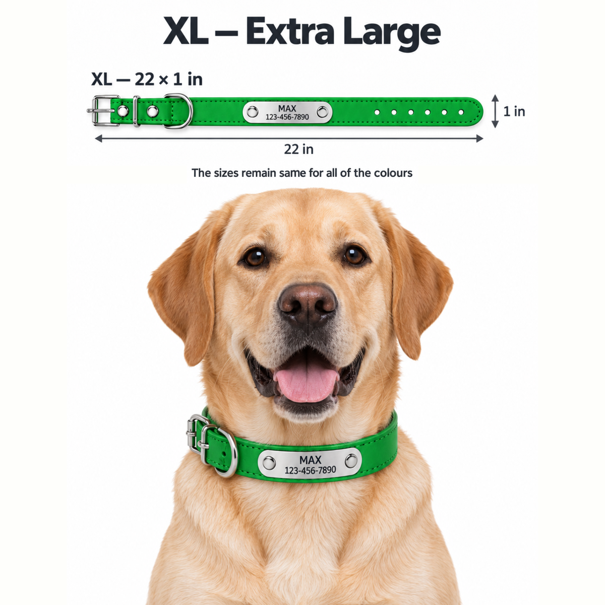 Personalized PU Leather Pet Collar with Stainless Steel Nameplate – Custom Engraved Dog & Cat Collar