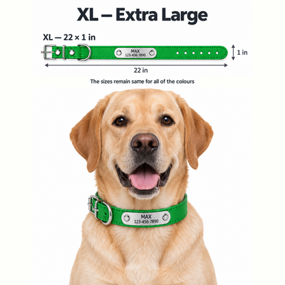 Personalized PU Leather Pet Collar with Stainless Steel Nameplate – Custom Engraved Dog & Cat Collar