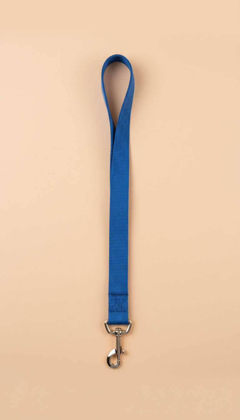 Canvas Leash With Color Pop
