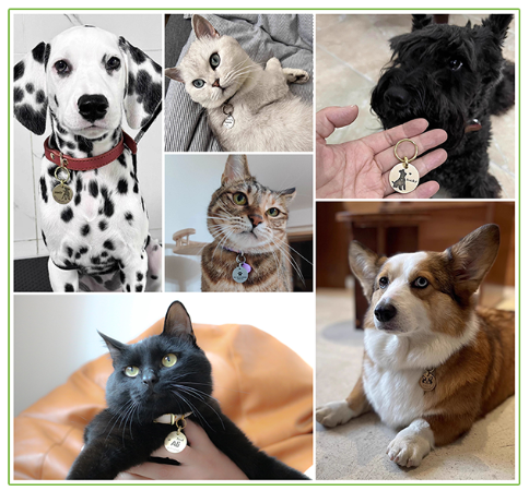 Custom Engraved Personalized Stainless Steel Dog Tags Round ID Dog Cat Tag