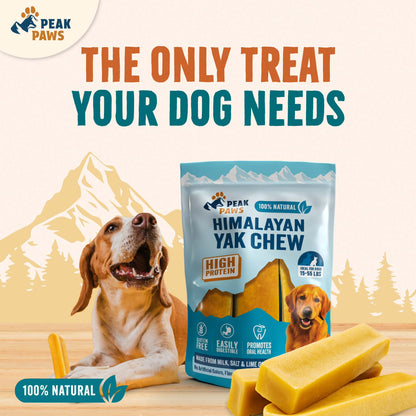 Dog Chew