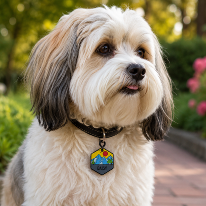 Personalized Scenic Silicone Hexagon Pet ID Tag – Custom Dog & Cat Name Tag