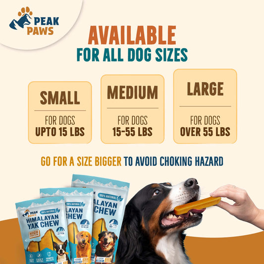Dog Chew