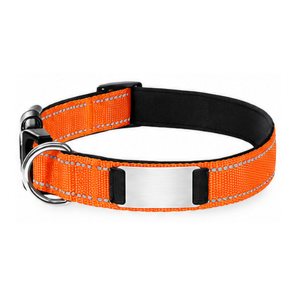 Nylon Pet Collor