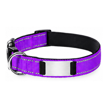Nylon Pet Collor