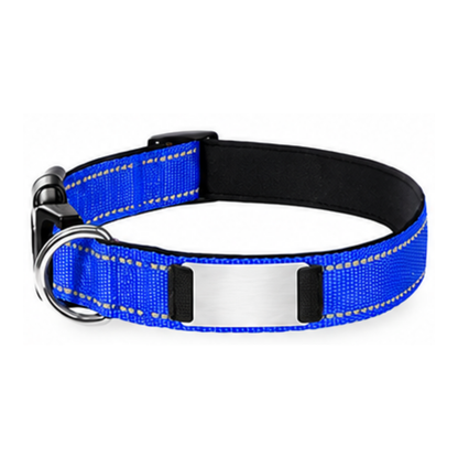 Nylon Pet Collor