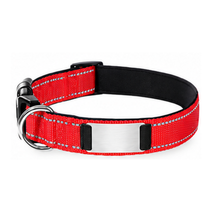 Nylon Pet Collor