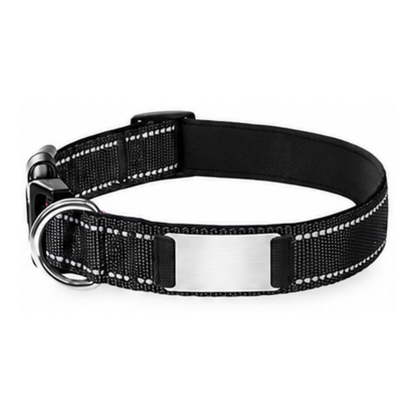 Nylon Pet Collor