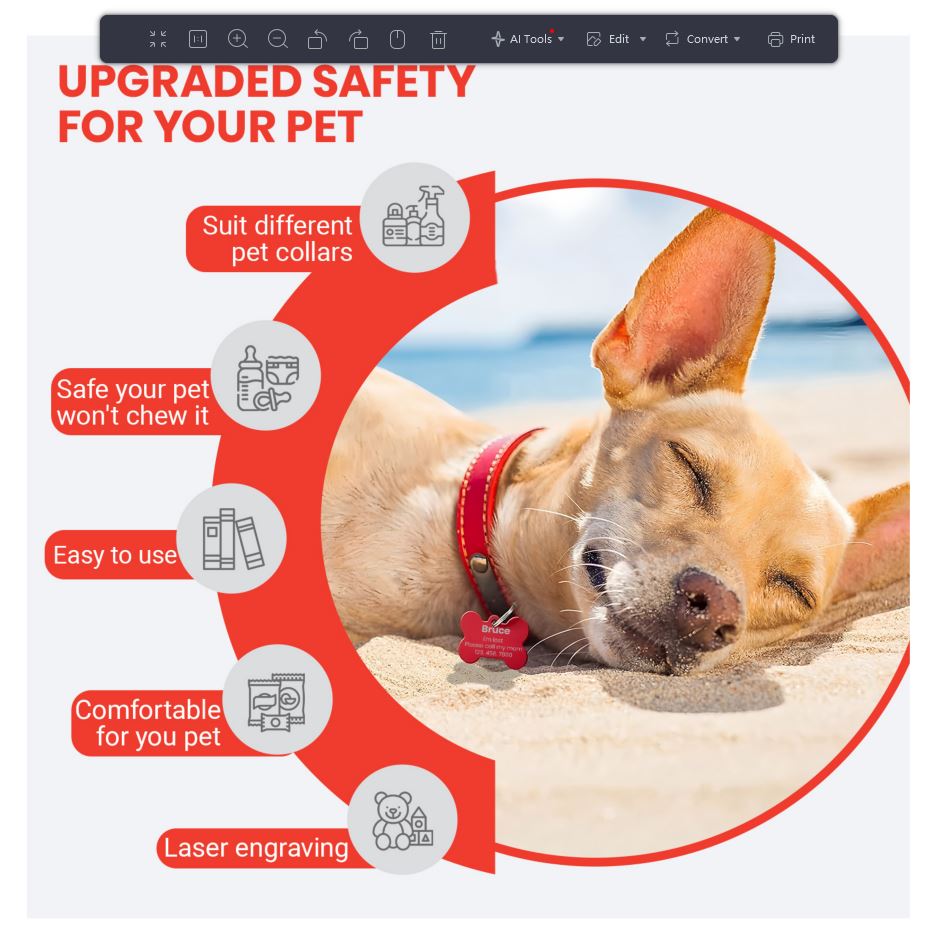 Custom Double-Sided Aluminum Dog & Cat Name Tag