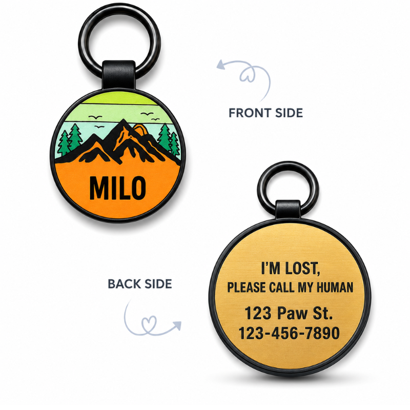 Personalized Scenic Silicone Round Pet ID Tag – Custom Dog & Cat Name Tag