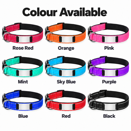 Nylon Pet Collor