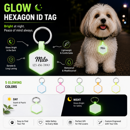 Personalized Glow-in-the-Dark Silicone Hexagon Pet ID Tag – Custom Dog & Cat Name Tag