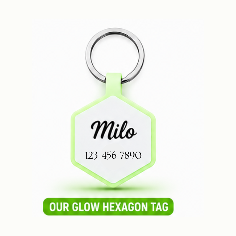 Personalized Glow-in-the-Dark Silicone Hexagon Pet ID Tag – Custom Dog & Cat Name Tag