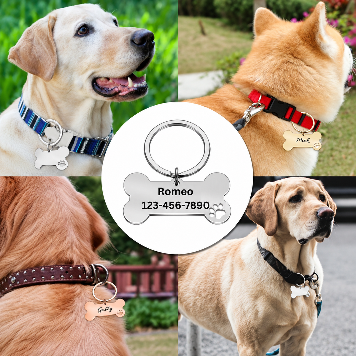 Personalized Stainless Steel Bone Pet ID Tag with Paw Cutout – Custom Engraved Dog & Cat Name Tag