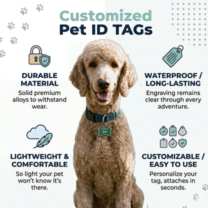 Personalized Glitter Bone Pet ID Tag, Custom Engraved Stainless Steel Dog Cat Name Tag