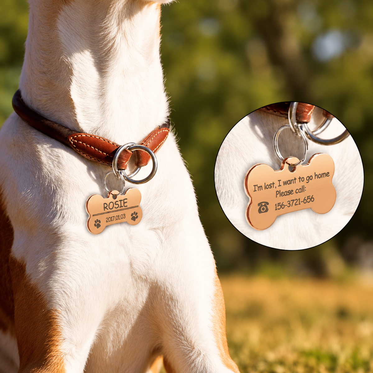 Personalized Stainless Steel Bone Pet ID Tag with Paw Cutout – Custom Engraved Dog & Cat Name Tag