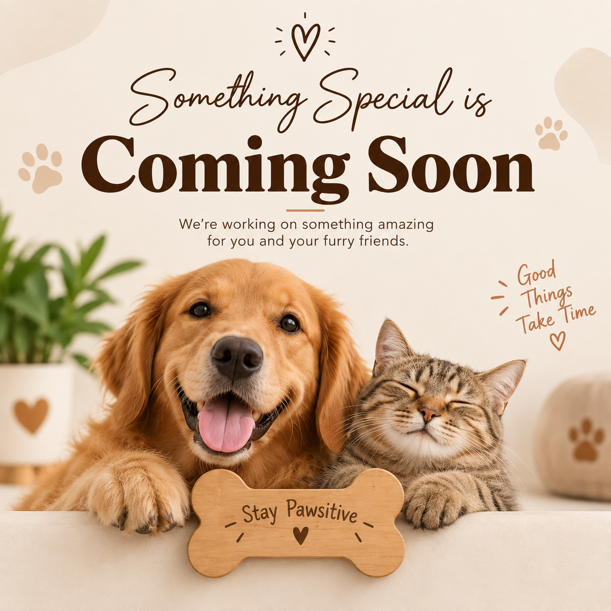 Coming Soon
